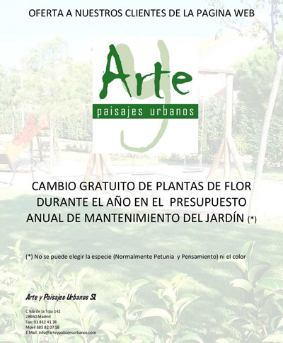 Regalo de la planta de flor para todo el ao (2 cambios) al realizar el contrato anual de mantenimiento